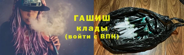 гидра Няндома