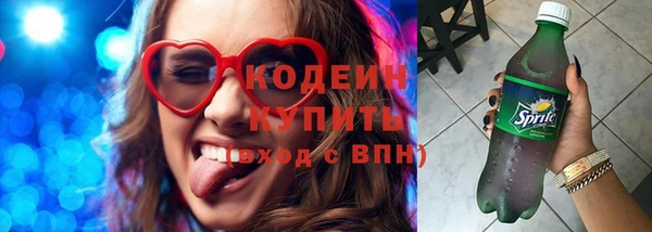 гидра Няндома