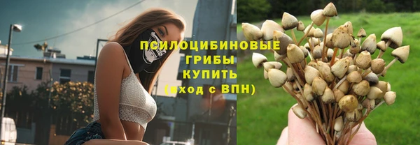 гидра Няндома