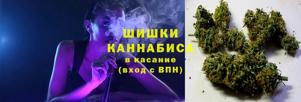 гидра Няндома