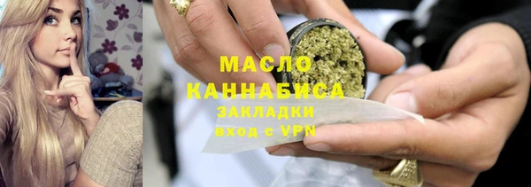 гидра Няндома