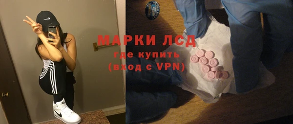 гидра Няндома