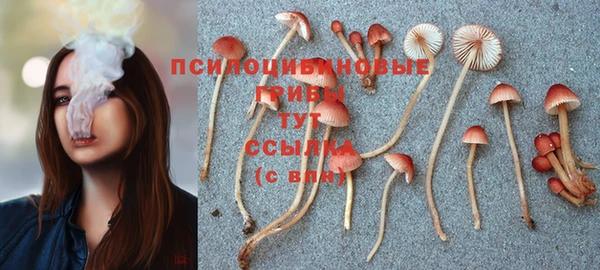 гидра Няндома