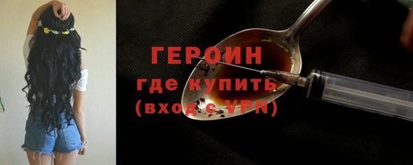 гидра Няндома
