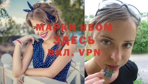 гидра Няндома