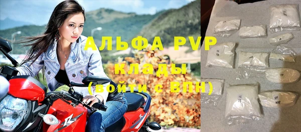гидра Няндома
