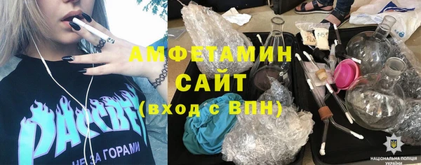 гидра Няндома