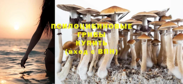 прущая мука Нягань