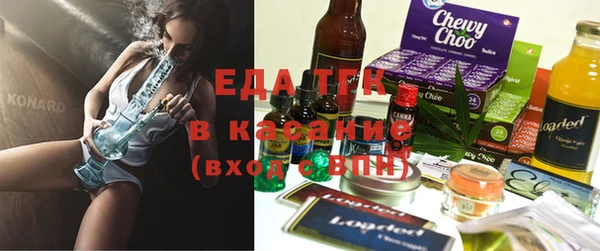 гидра Няндома