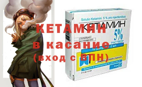 гидра Няндома