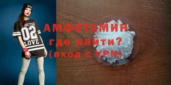 гидра Няндома