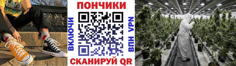 Каннабис THC 21%  продажа наркотиков  Циолковский 